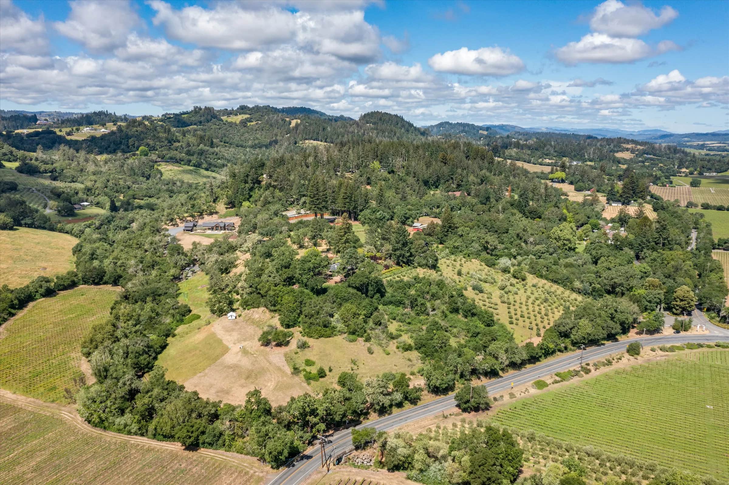 Aerial view of the parcel from above Westside Road: olive orchard on the right, open meadow and oaks on the left, vineyards across the road and hills to the horizon